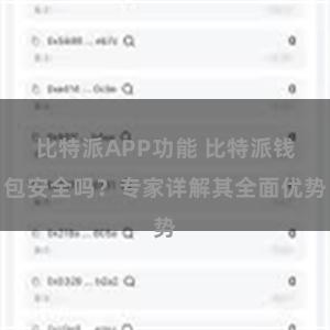 比特派APP功能 比特派钱包安全吗？专家详解其全面优势