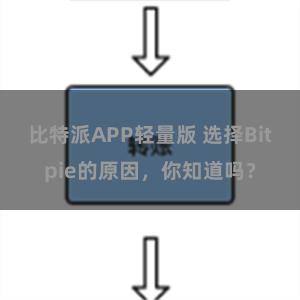 比特派APP轻量版 选择Bitpie的原因，你知道吗？