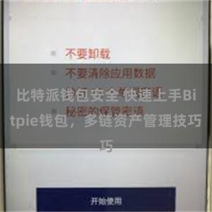 比特派钱包安全 快速上手Bitpie钱包，多链资产管理技巧