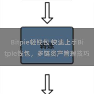 Bitpie轻钱包 快速上手Bitpie钱包，多链资产管理技巧