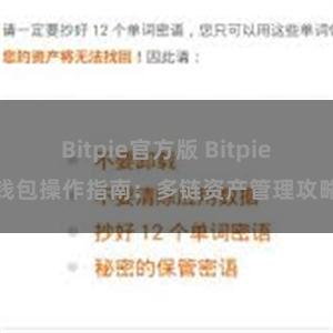 Bitpie官方版 Bitpie钱包操作指南：多链资产管理攻略