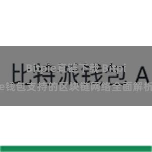 Bitpie直链下载 Bitpie钱包支持的区块链网络全面解析