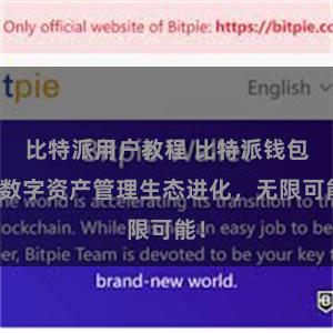 比特派用户教程 比特派钱包：数字资产管理生态进化，无限可能！