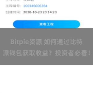 Bitpie资源 如何通过比特派钱包获取收益？投资者必看！