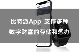 比特派App  支撑多种数字财富的存储和惩办
