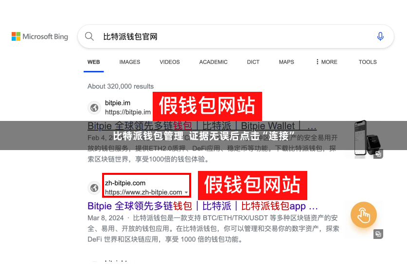 比特派钱包管理  证据无误后点击“连接”