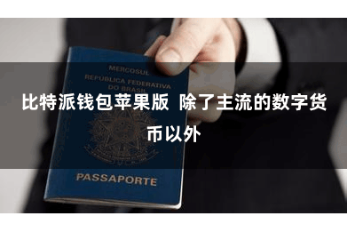 比特派钱包苹果版  除了主流的数字货币以外