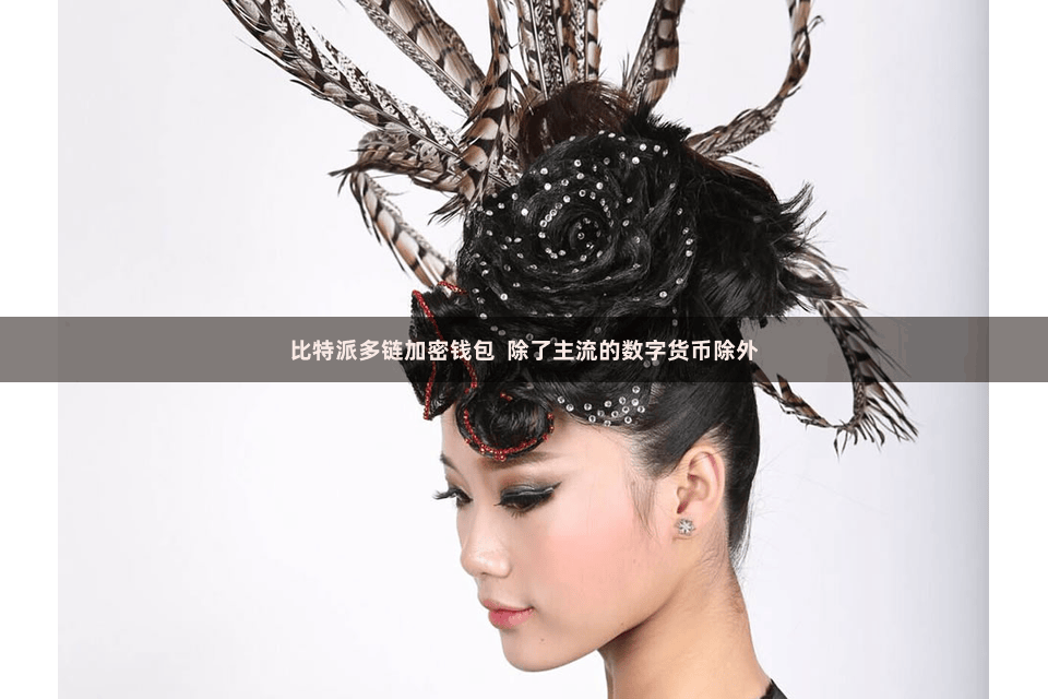 比特派多链加密钱包  除了主流的数字货币除外